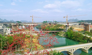 賀州至巴馬高速公路（都安至巴馬段）盤陽河2號(hào)大橋