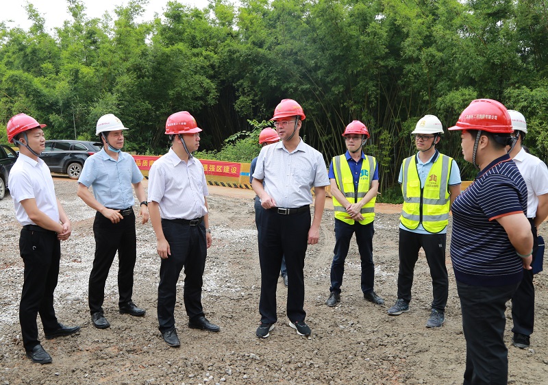 圖1:林海波(左四)在南湛高速羅家村大橋現(xiàn)場督導(dǎo).jpg